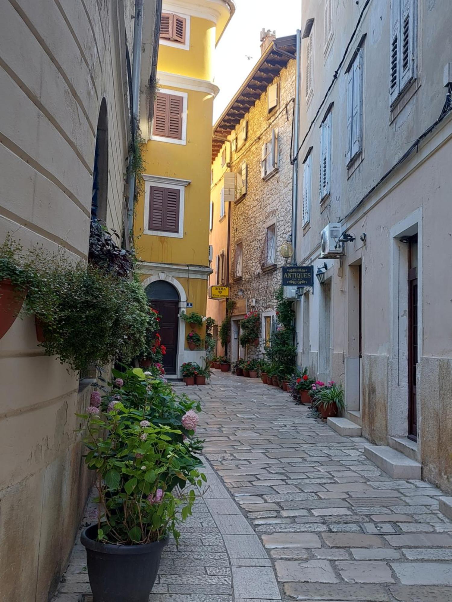 App Olive Old Town Apartment